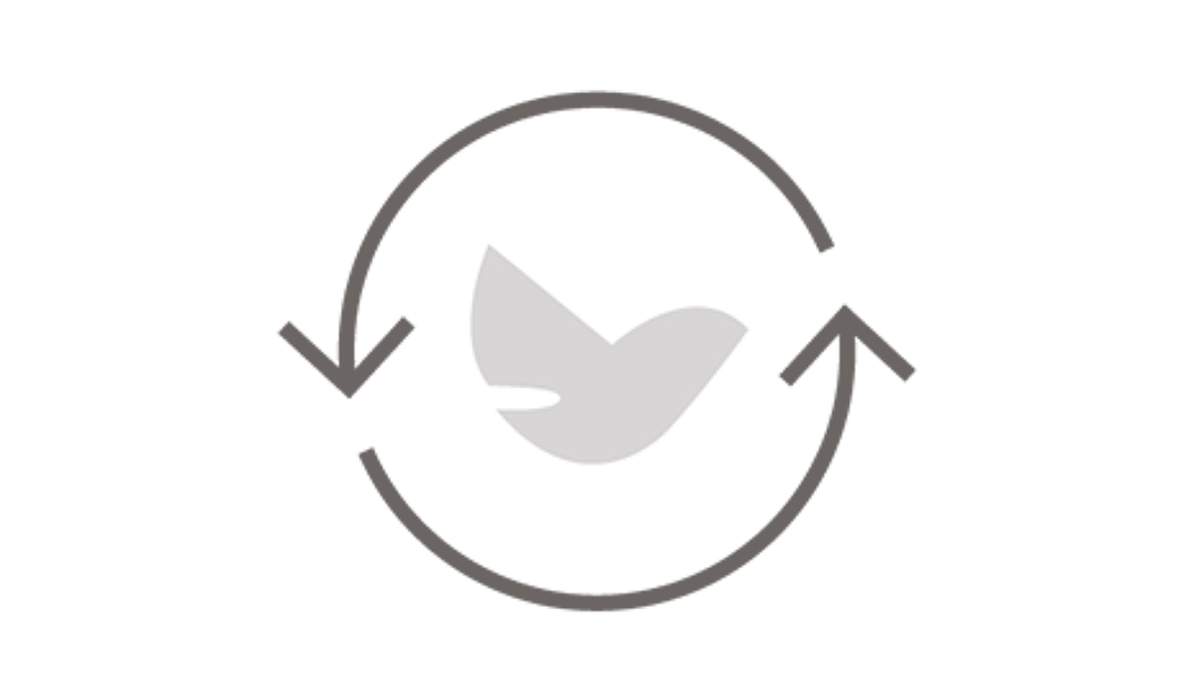 Peace in the Process
