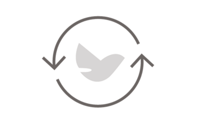 Peace in the Process